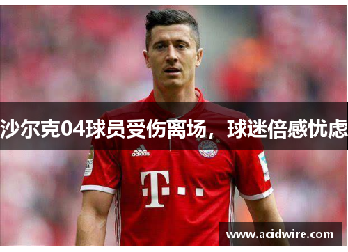 沙尔克04球员受伤离场，球迷倍感忧虑