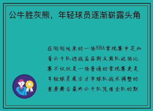 公牛胜灰熊，年轻球员逐渐崭露头角